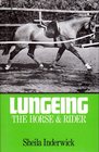 Lungeing the Horse and Rider