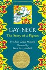 GayNeck The Story of a Pigeon