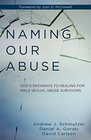 Naming Our Abuse God's Pathways to Healing for Male Sexual Abuse Survivors