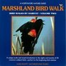 Marshland Bird Walk