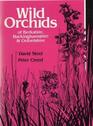 Wild Orchids of Berkshire Buckinghamshire and Oxfordshire
