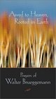 Awed to Heaven Rooted in Earth Prayers of Walter Brueggemann