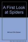 A First Look at Spiders