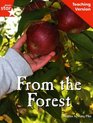 Fantastic Forest Pink Level Fiction From the Forest Teaching Version