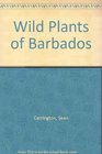 Wild Plants of Barbados