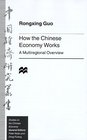 How the Chinese Economy Works  A Multiregional Overview