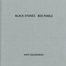 Black Stones Red Pools: Dumfriesshire Winter 1994-5