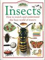 Insects  How to Watch and Understand the Busy World of Insects 1992 publication