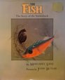 The Fish The Story of the Stickleback