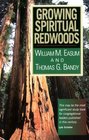 Growing Spiritual Redwoods