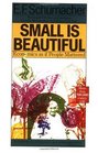 Small Is Beautiful  Economics as if People Mattered
