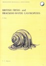 A Key to the British Fresh  And BrackishWater Gastropods