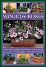 Wndow Boxes How to Create Stunning Window Displays to Enjoy Throughout the Year with 130 Photographs