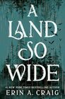 A Land So Wide: A Novel