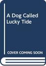 A Dog Called Lucky Tide