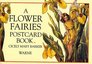 A Flower Fairies Postcard Book (Flower Fairies)