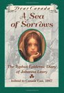 Dear Canada: A Sea of Sorrows: The Typhus Epidemic Diary of Johanna Leary, Canada East, 1847 [Hardcover]