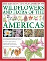 The Illustrated Encyclopedia of Wild Flowers and Flora of the Americas An authoritative guide to more than 750 native wild flowers of the USA Canada  watercolors photographs and maps