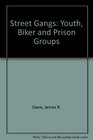 Street Gangs Youth Biker and Prison Groups