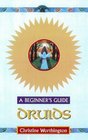 Druids A Beginner's Guide
