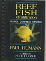 Reef Fish Identification FloridaCaribbeanBahamas
