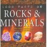 1000 Facts on Rocks  Minerals