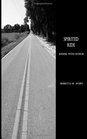 Spirited Ride (Riding with Honor) (Volume 6)