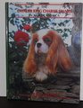 The Cavalier King Charles Spaniel in North America