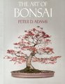 THE ART OF BONSAI