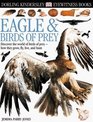 Eyewitness Eagles  Birds of Prey