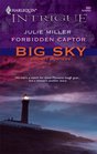 Forbidden Captor (Big Sky Bounty Hunters, Bk 4) (Harlequin Intrigue, No 880)