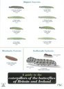 A Guide to Caterpillars of the Butterflies of Britain and Ireland