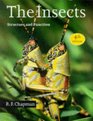 The Insects  Structure and Function