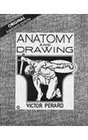 Anatomy  Drawing