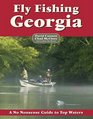 Fly Fishing Georgia A No Nonsense Guide to Top Waters