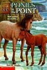 Ponies at the Point (Animal Ark (Library))