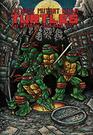 Teenage Mutant Ninja Turtles The Ultimate Collection Vol 1