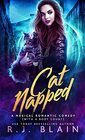 Catnapped A Magical Romantic Comedy