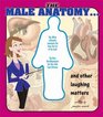 The Male Anatomy And Other Laughing Matters
