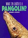 What on Earth is a  Pangolin