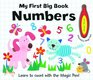 My First Big Book Numbers