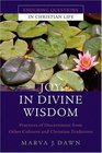 Joy in Divine Wisdom: Practices of Discernment from Other Cultures and Christian Traditions (Enduring Questions in Christian Life)