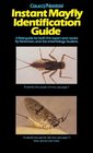 Instant Mayfly Identification Guide