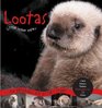 Lootas the Little Wave Eater An Orphaned Sea Otter's Story