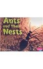 Ants and Their Nests