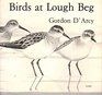Birds at Lough Beg