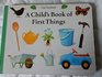 Child's First Book of Things