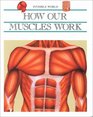 How Our Muscles Work