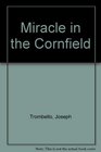 Miracle in the Cornfield