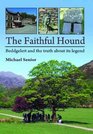 Faithful Hound Beddgelert and the Truth About Its Legend